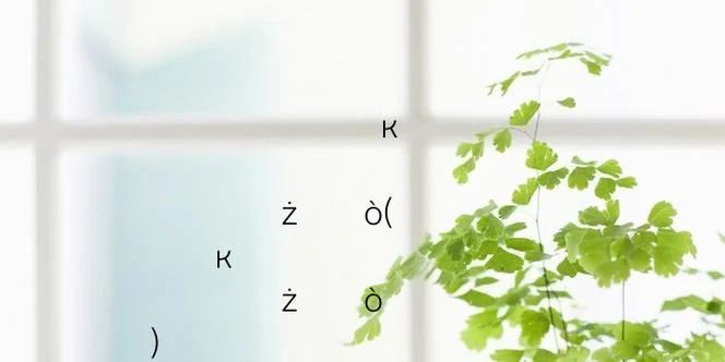 耿姓宝宝起名男孩_1