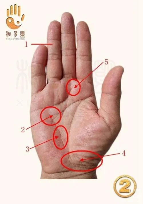 手相上看灾怎么看_1