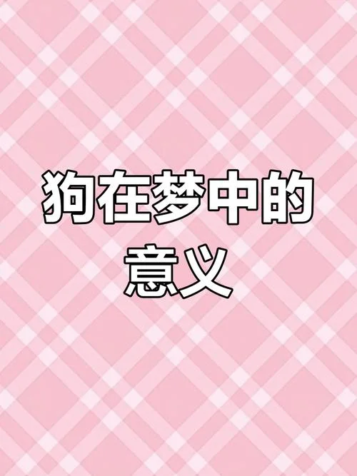 女人梦到狗追我孩子_1