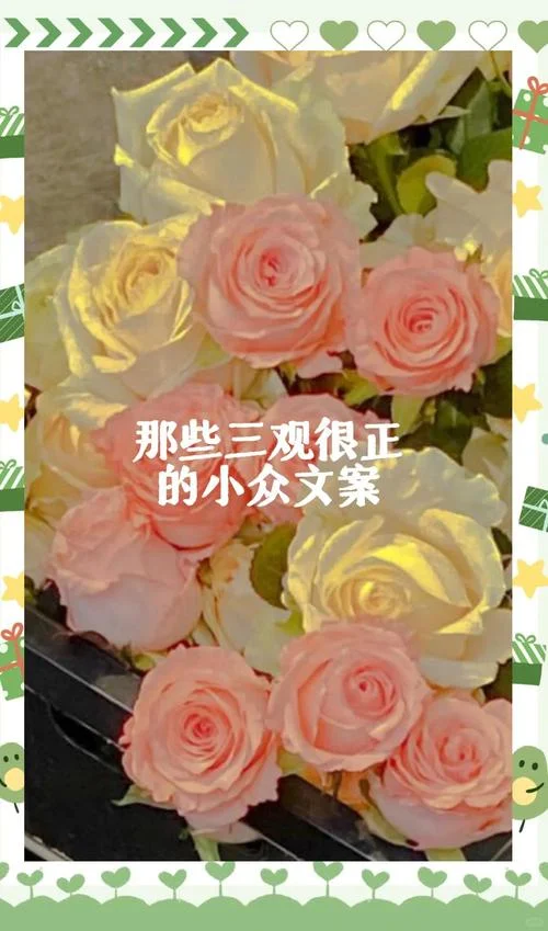 三观正且温柔的文案_1