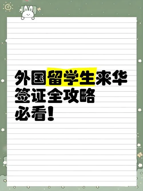 外国留学生办工作签证_2