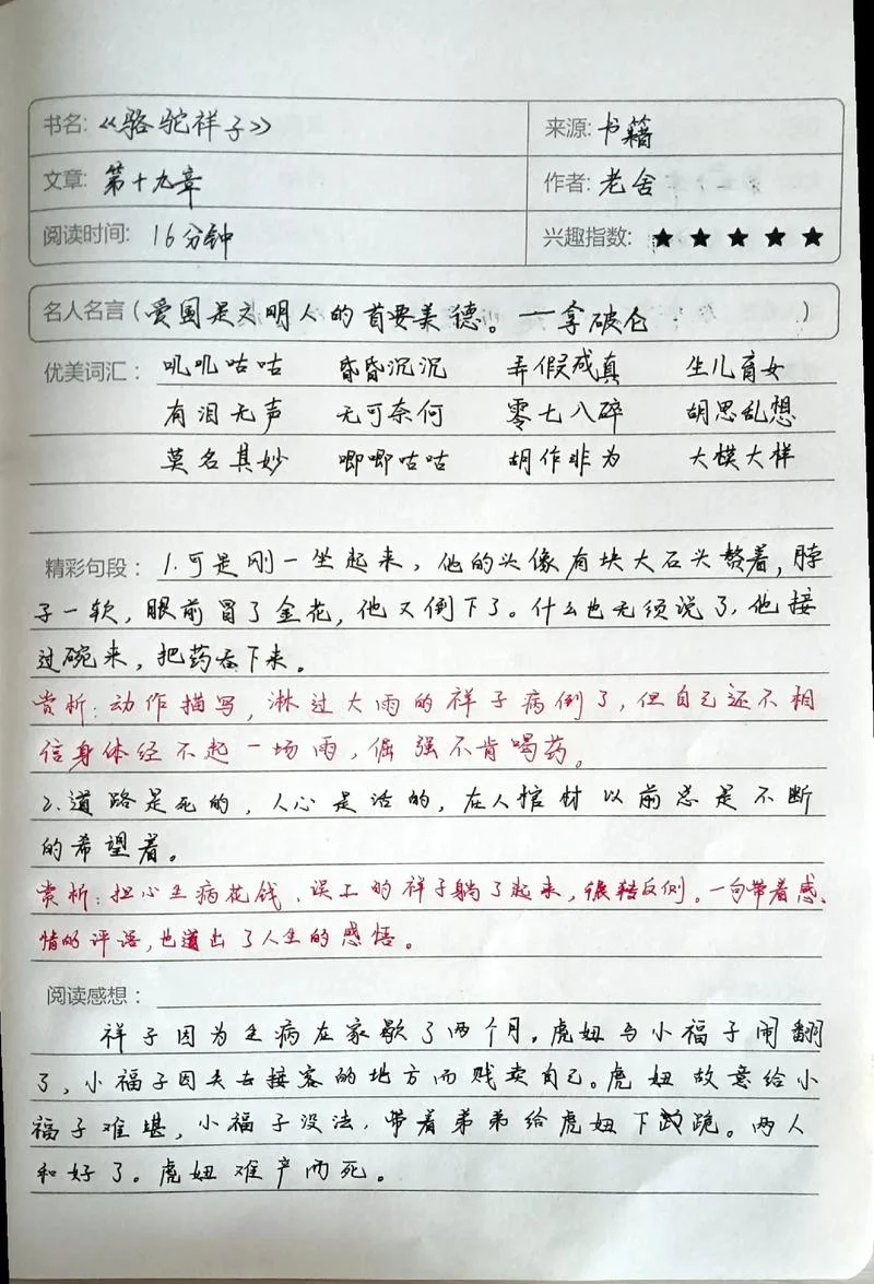 骆驼祥子的读后感悟20字_2
