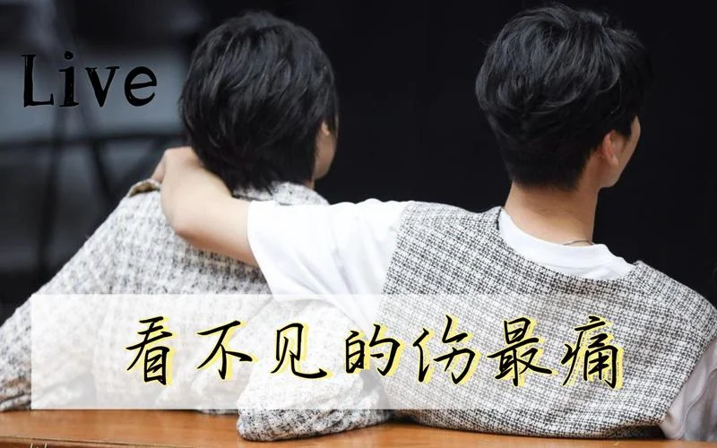看不见的伤是什么意思_1