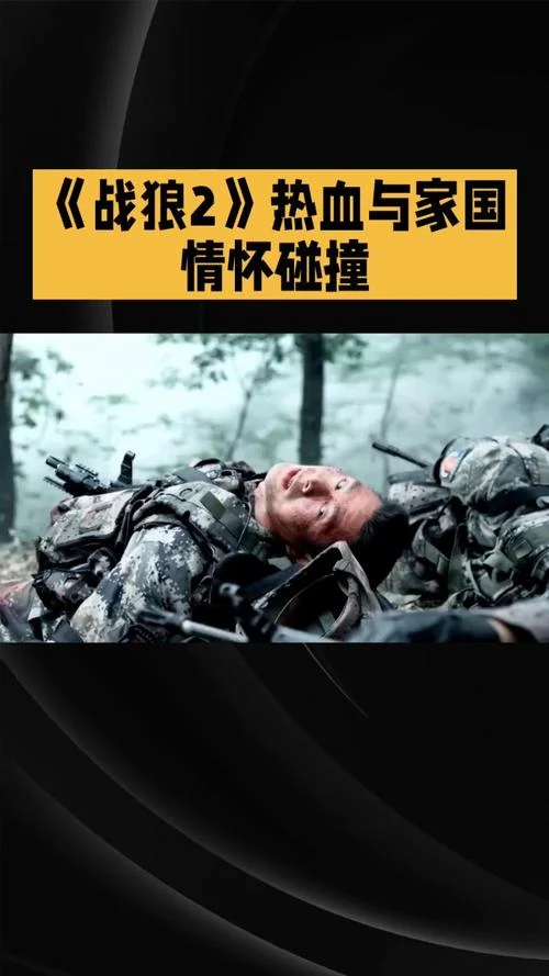 战狼22结局-战狼 2 结局