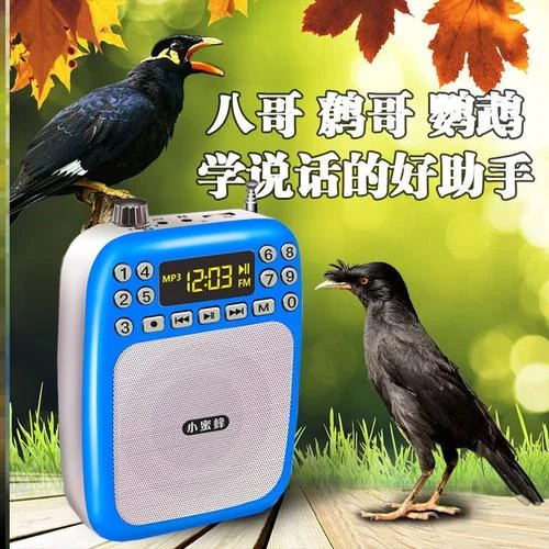 六学 复读机梗出处-六学复读机梗出处