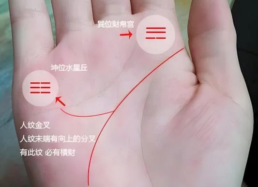 看手相有没有横财-看手相横财