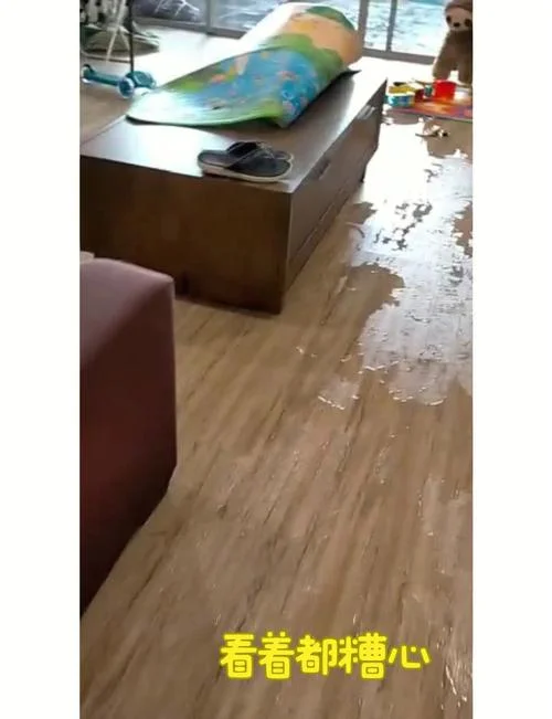 梦见房子被水淹了_1