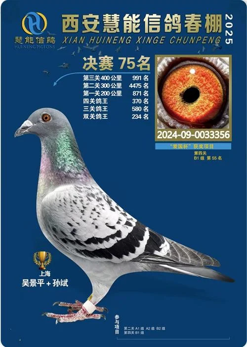 中国搜鸽网查信鸽成绩_2