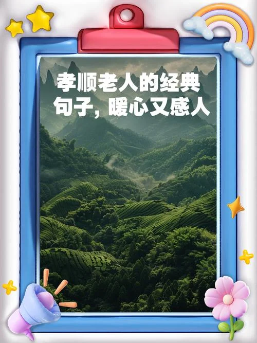 陪伴老人的感悟短句_1