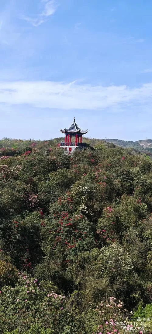 贵州毕节大方旅游景点-毕节大方景点推荐