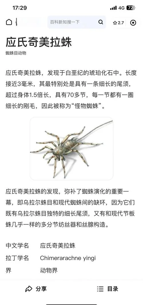 spider的出处_1