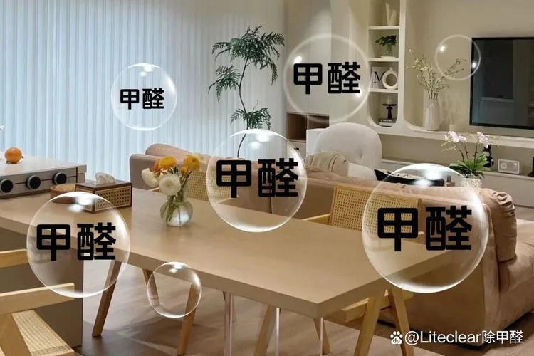 专业去甲醛多少一平方_1