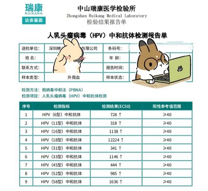 hpv如何查抗体_1