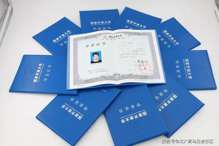大专学历在哪里查_1