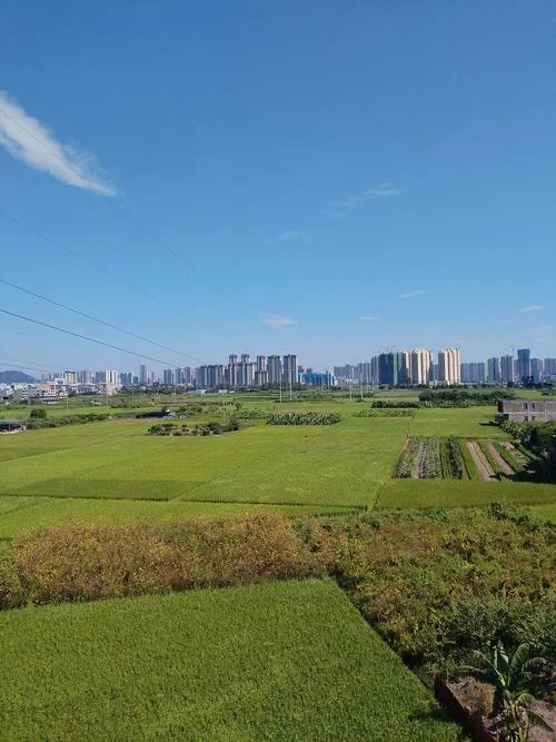 160亩地是多少平方米_2
