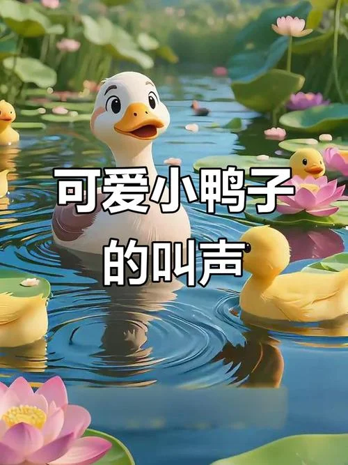 鸭子叫什么声音_1
