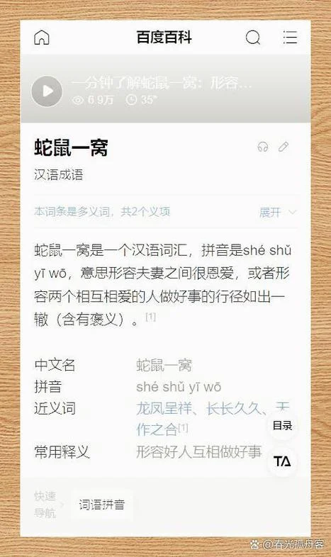 猫鼠同眠什么意思_1