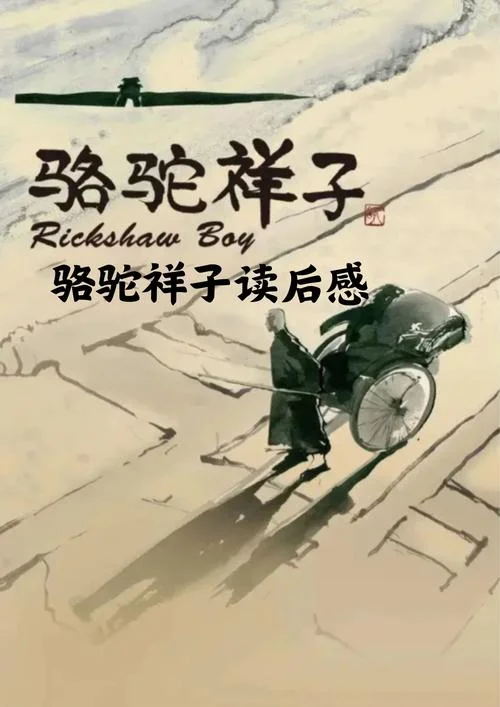 也是三角 老舍读后感_1