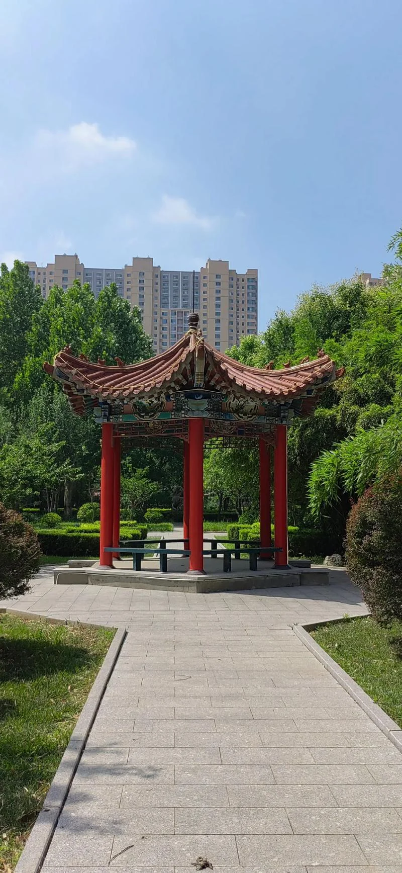 沧州市第一中学地址_2
