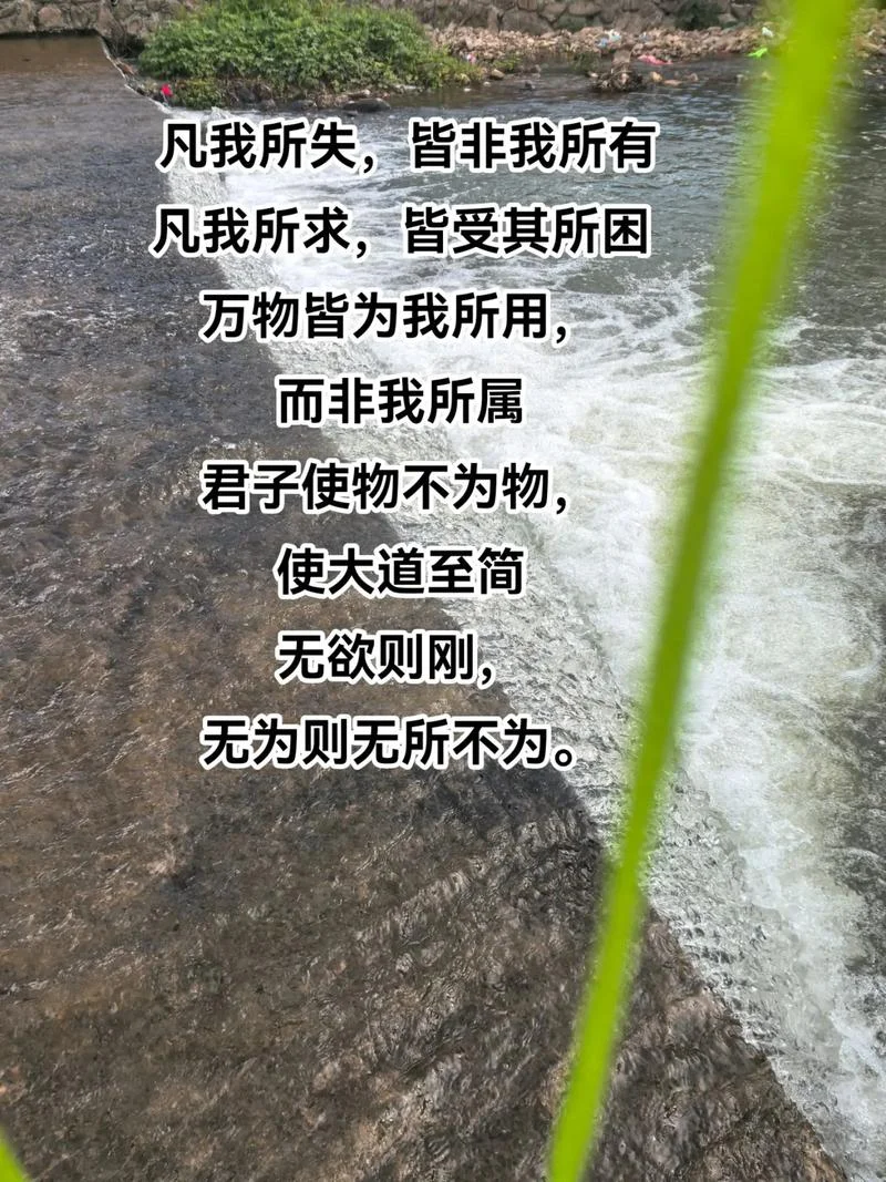 无所不能下一句是什么_2