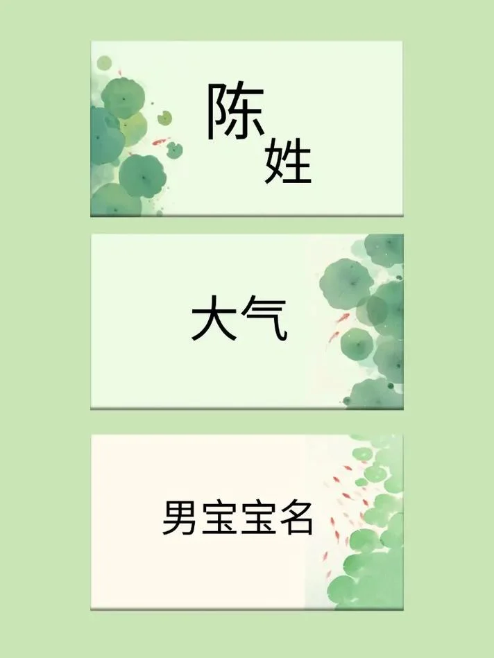 陈姓宝宝起名大全男孩_2