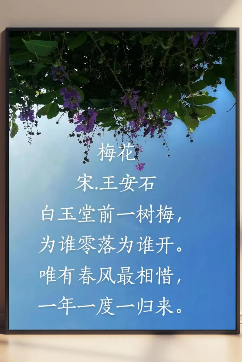 梅花飞雪带琴上出自谁_1