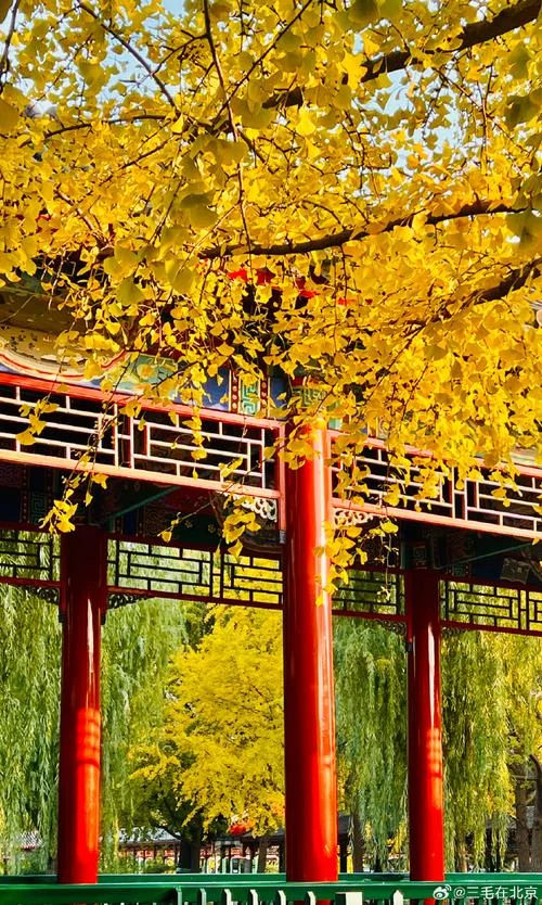 北京秋季旅游景点-北京秋游景点