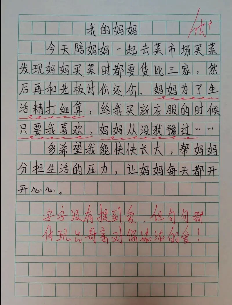 买菜的过程作文怎么写-买菜过程作文