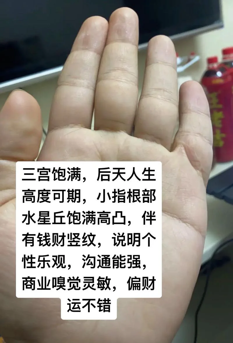 如果看出财运好的手相-财运好手相