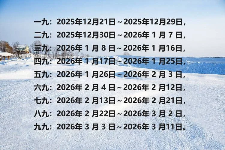 1995年立冬是几月几号_2