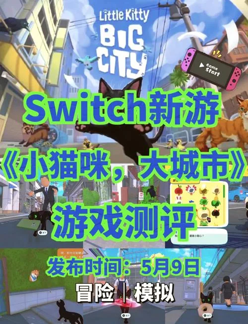 小猫起名字游戏_1