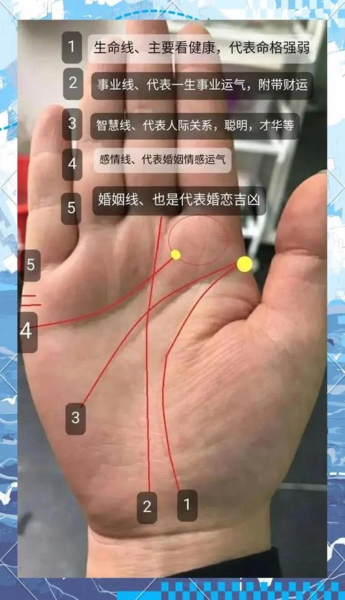 婚姻手相-婚姻手相关键词
