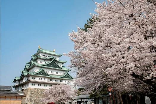 南山大学日本_2