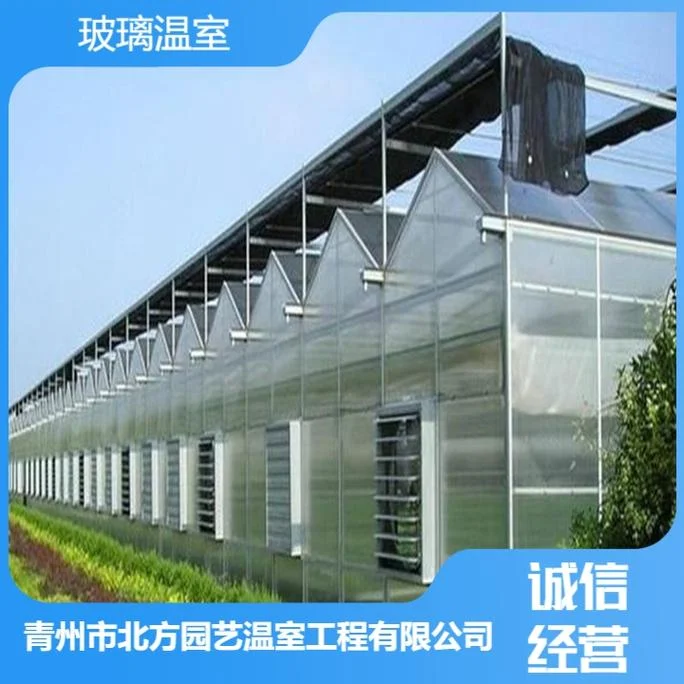 建一个大棚一亩地需要多少钱-大棚建费一亩预估