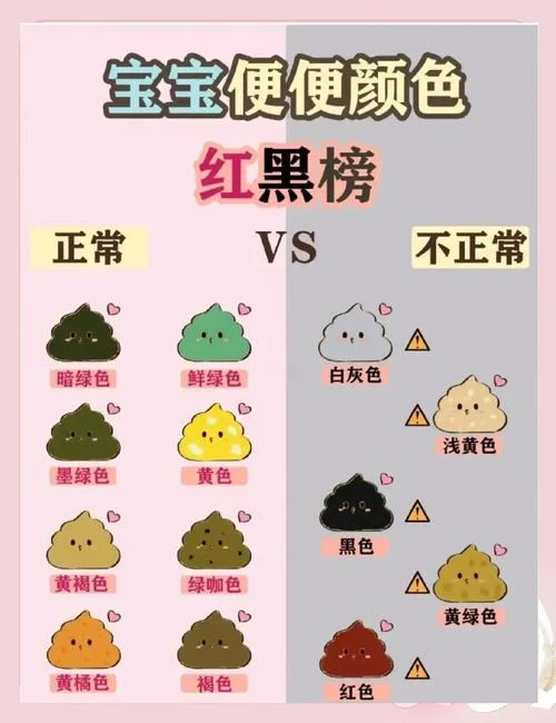 大便的地方叫什么-大便处名