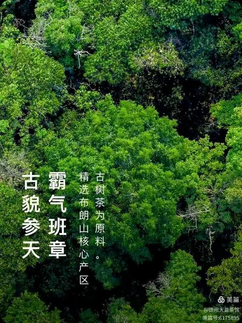 忘极春秋下一句_2
