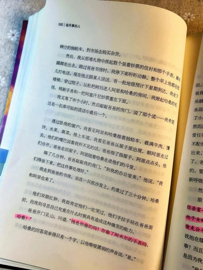 追风筝的人摘抄并感悟_1