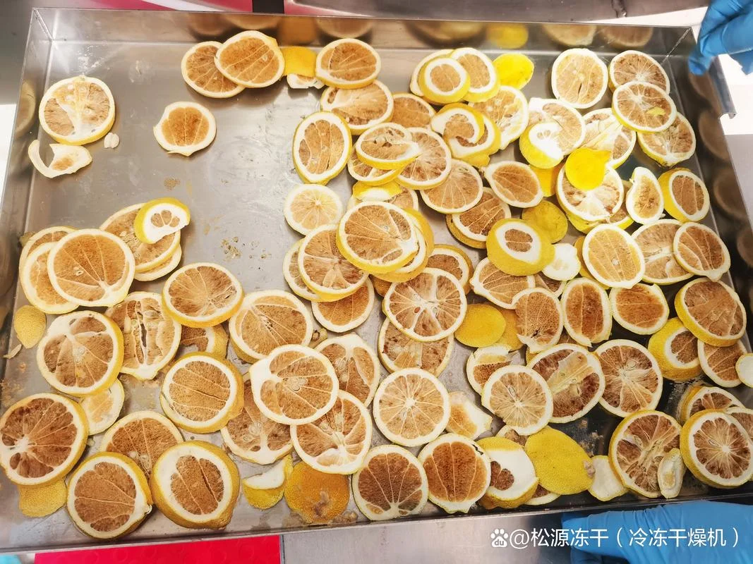 冻干柠檬片怎么做-冻干柠檬片做法