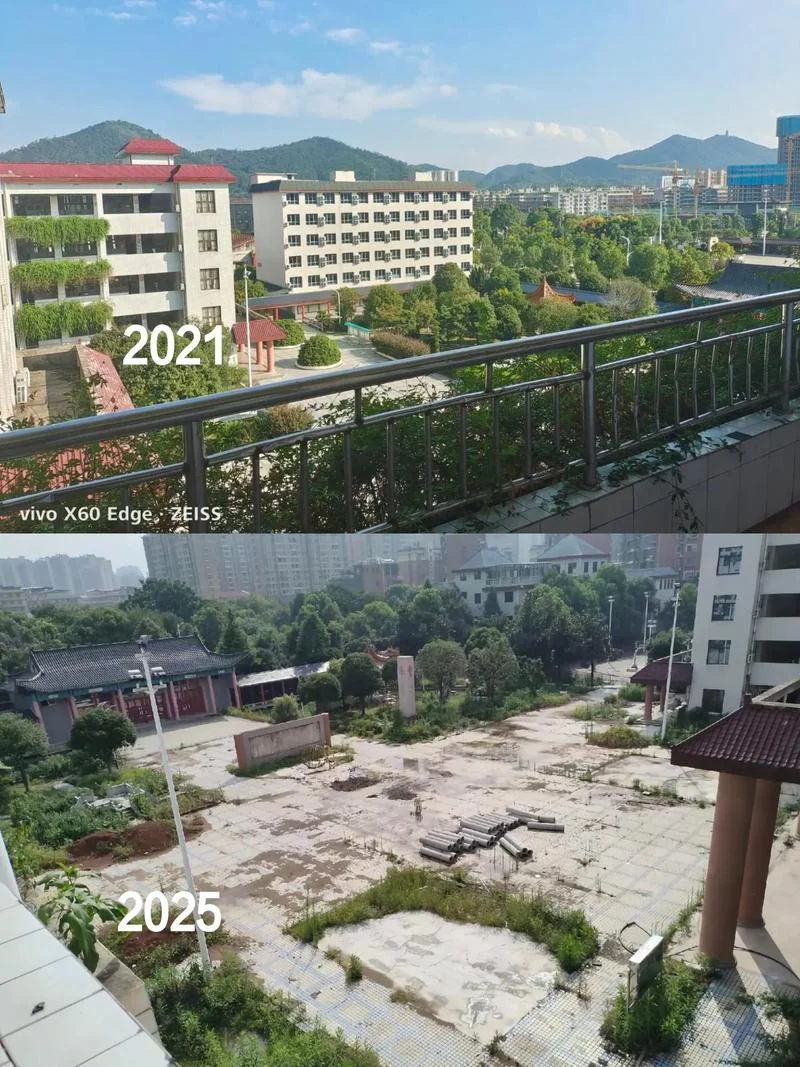 淄博育才中学抖音-淄博育才中学抖音