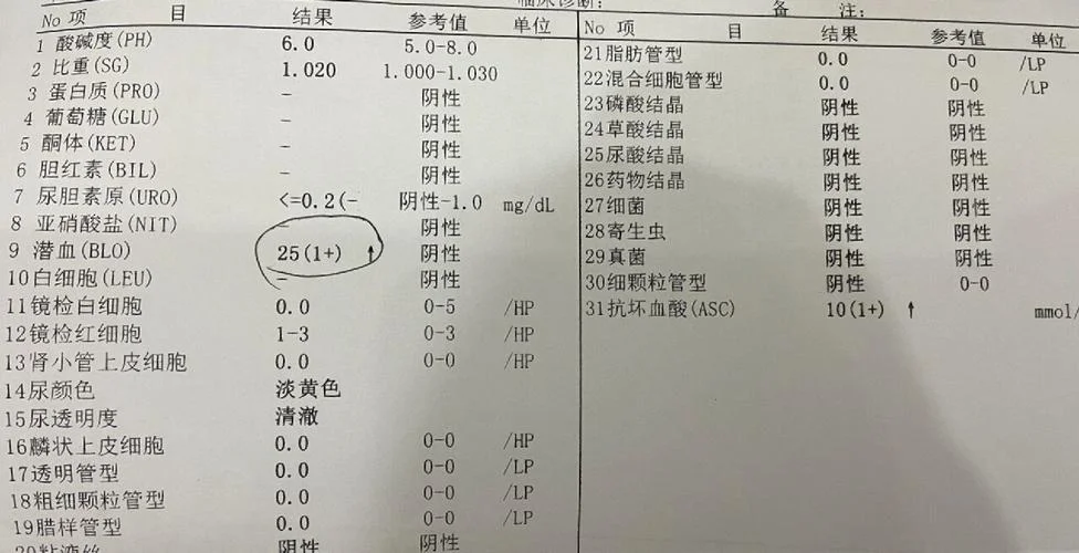 潜血弱阳性是什么意思_1
