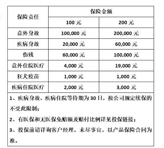 中国平安保险留学生-平安保险留学服务