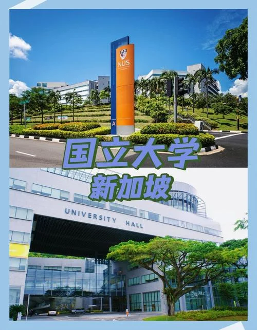 新加坡国立大学要求-新加坡国立大学要求
