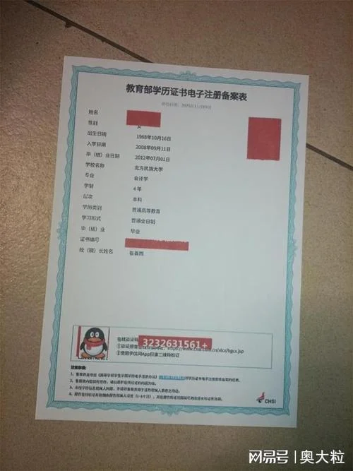学信网学历文凭认证吗-学历认证学信网