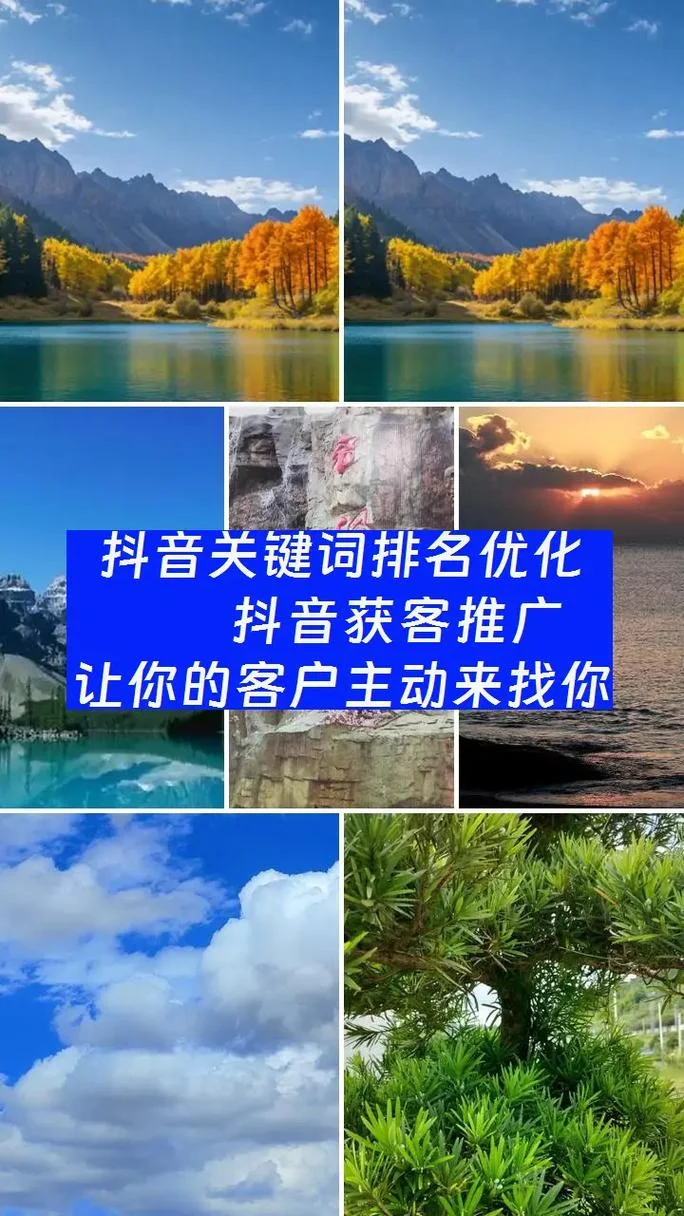 温州seo优化哪家公司好_1
