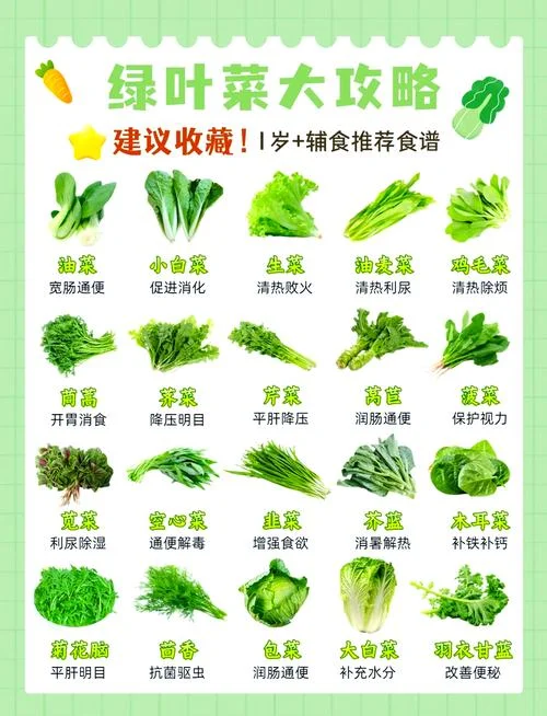 青青菜的学名叫什么_1