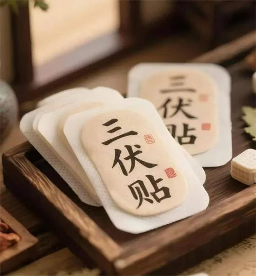 什么是三伏帖穴位贴_1