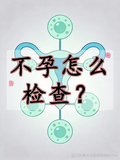 如何查免疫不孕症_2