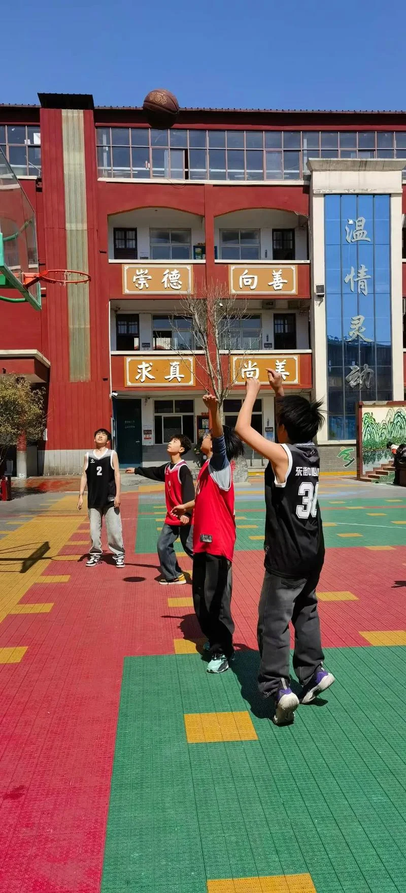 篮球班在哪里学-全国篮球班何处学