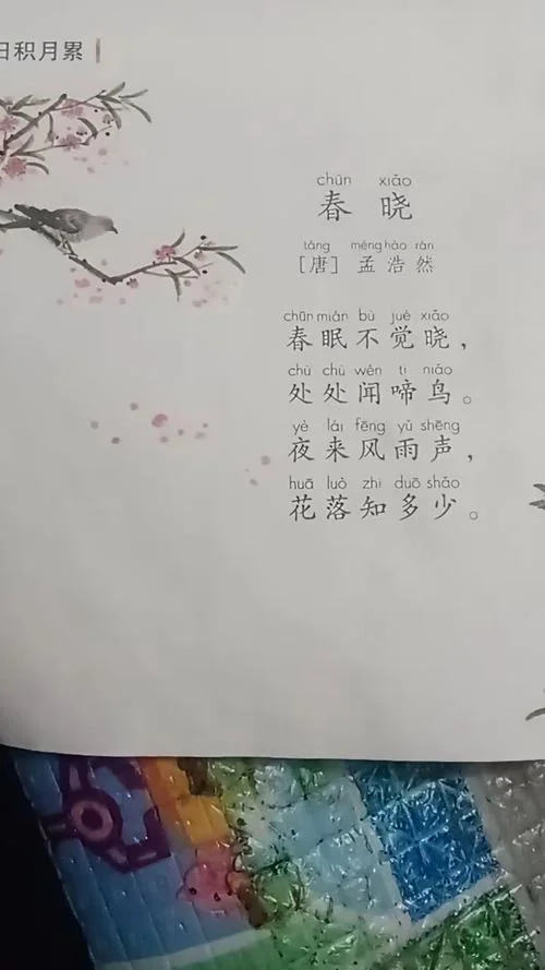 春晓是谁写的呢_1