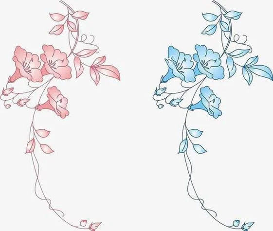板报花边简笔画详解_2